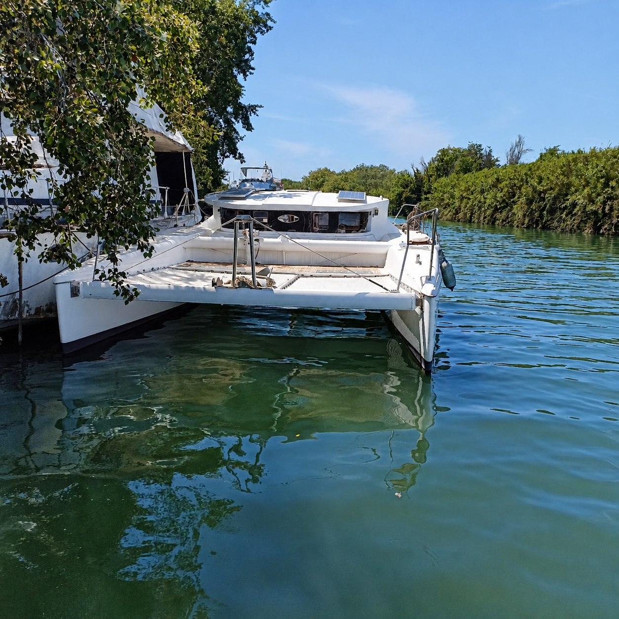 Catamarán amarrado entre la vegetación